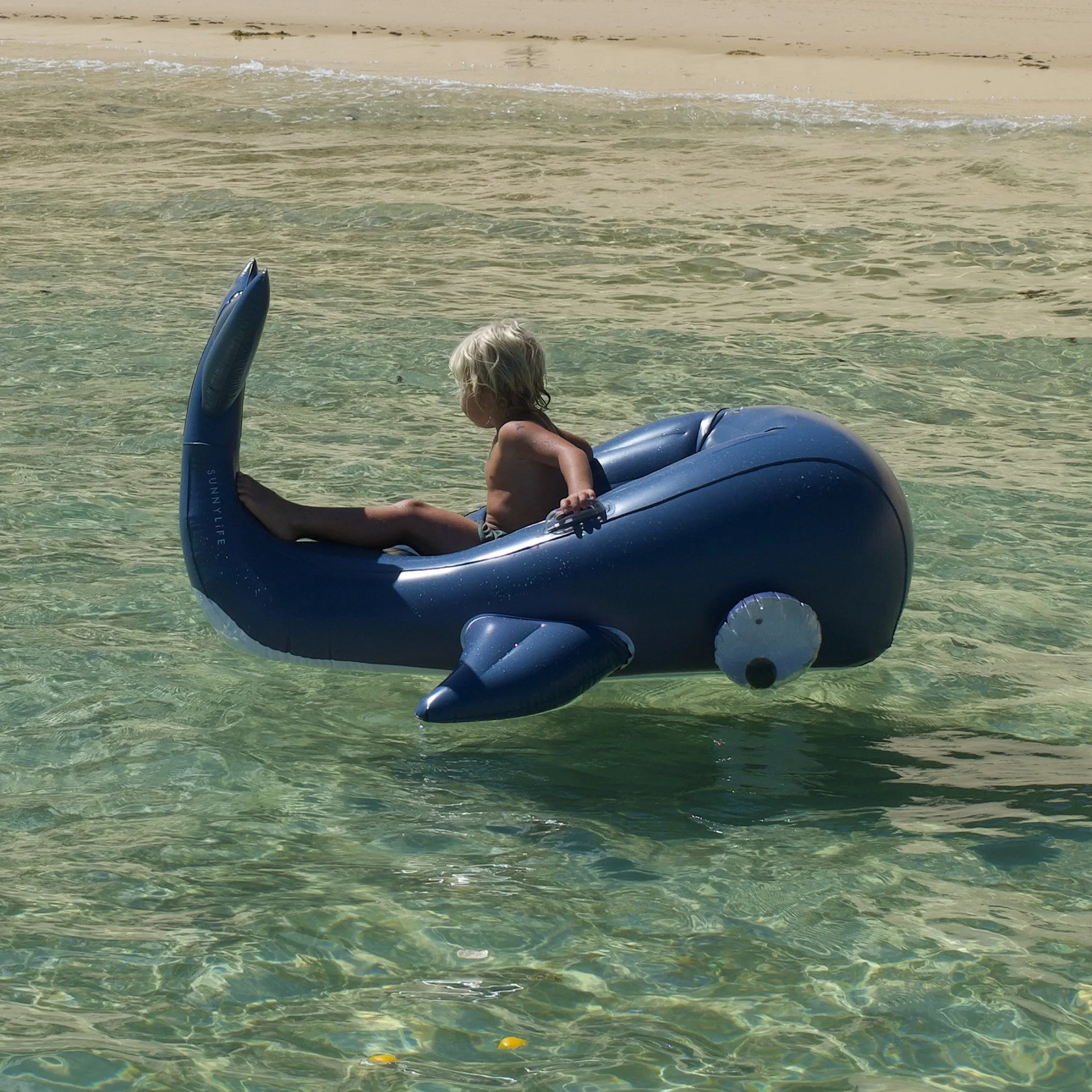 Luxe Ride-On Float | Moby Dick Navy Sunnylife
