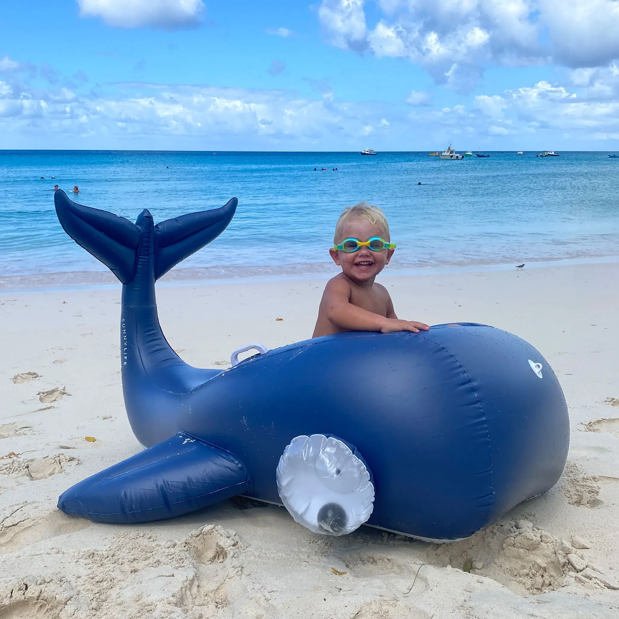 Luxe Ride-On Float | Moby Dick Navy Sunnylife